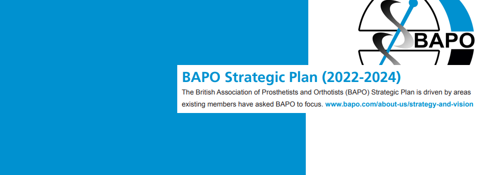 BAPO Strategic Plan (2022-2024)